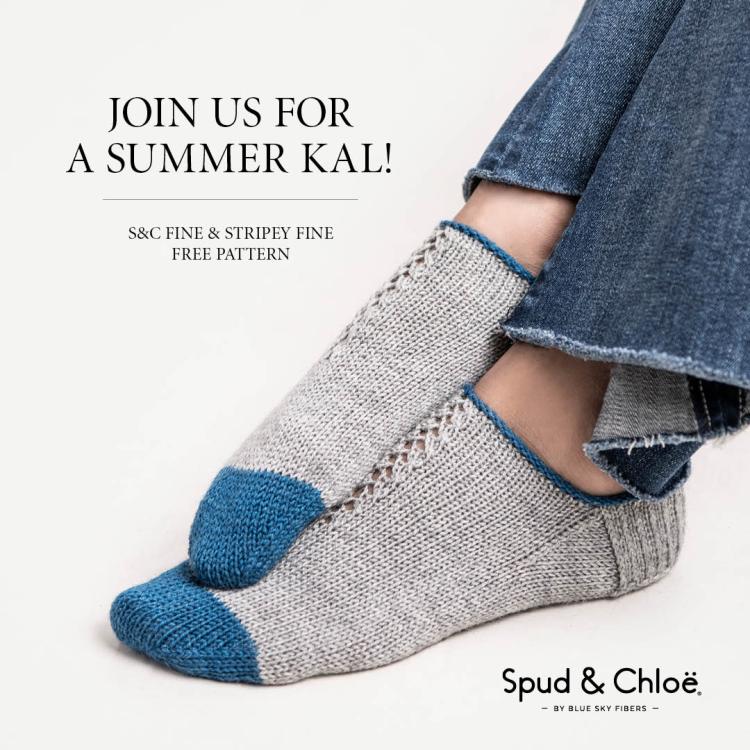 LilydaleFootiesKAL_Instagram